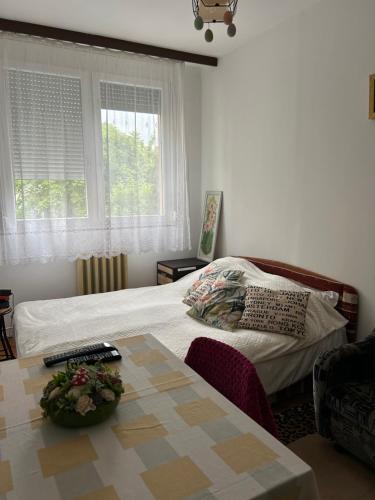 Kedves Kuckó a belvárosban - Location saisonnière - Szeged