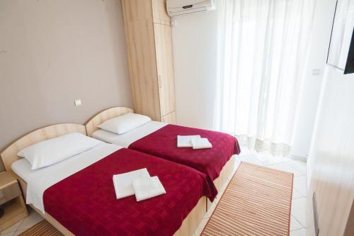 Vila Mitrovic - image 8