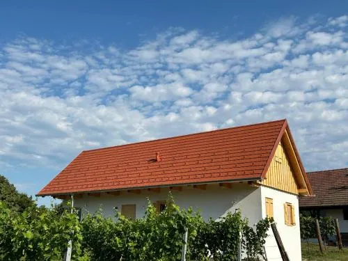 Modernes Kellerstöckl im Südburgenland in Glasing, Österreich