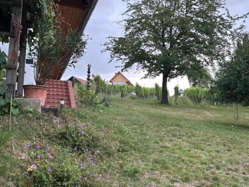 Kilátás, Modernes Kellerstöckl im Südburgenland (Modernes Kellerstockl im Sudburgenland) in Németújvár