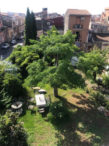 A Casa Nostra in Catania