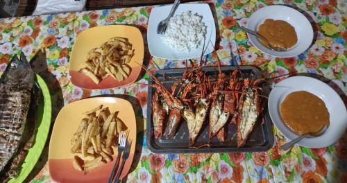 Lilys Nias Surf Camp in Botohilitano