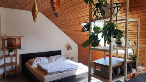Big Cozy Entire Family Appartment, Hanovre