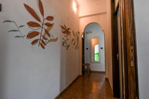 Drago Hostel in อีกอด เด โลส บิโนส