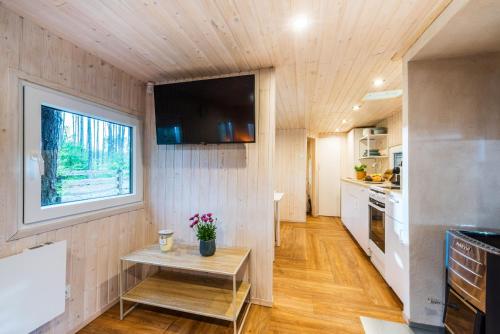 Leśny domek w stylu scandi z jacuzzi nad jeziorem Kaszuby pieski tylko do 10kg za dodatkową opłatą (Domek lubiana180 SCANDI wsrod drzew JACUZZI SAUNA KOMiNEK i TARAS na dachu jezioro Kaszuby Pieski ty) in Lubiana