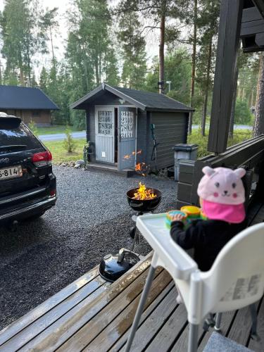 設施, Playa del Finland in 塞伊奈約基