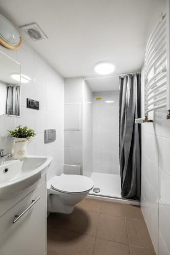 Hostel ŚLISKA (Hostel SLISKA) in 盧布林市中心
