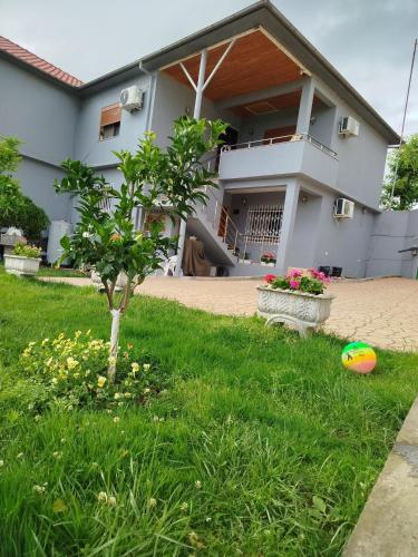 Villa Miceli, Tirana (Foto 3)