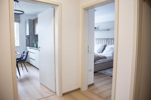 One-Bedroom Deluxe Apartment image 10