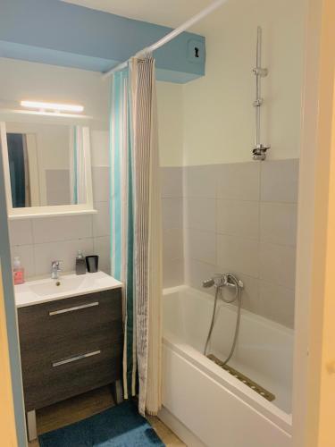 Cosy appartement centre-ville Gare, Страсбург (фото 5)