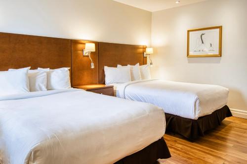 Double Room with Two Double Beds