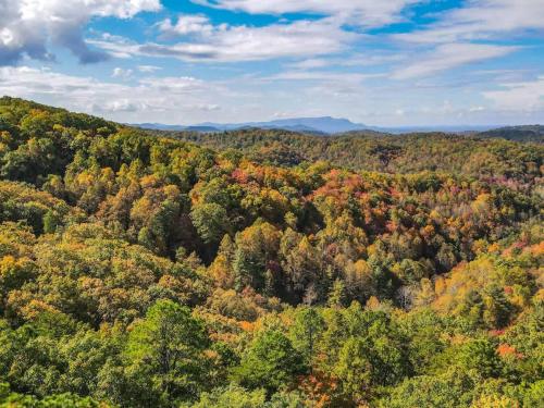 Cute Studio Cabin! Views! Private. Hot Tub. Relax! detail