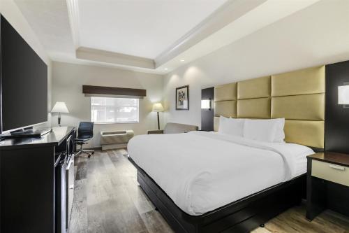 Accessibility - 1 King, Bathtub, Nonsmoking