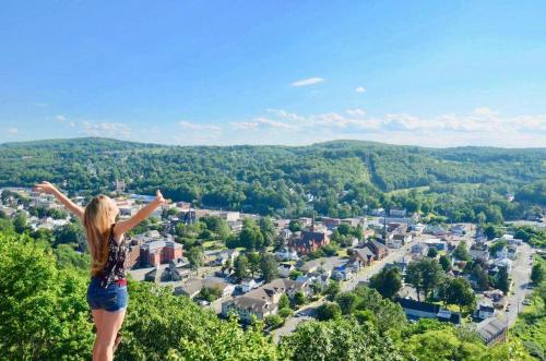 Honesdale Escape ~ A Place to Remember - Apartment - image 2
