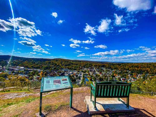 Honesdale Escape ~ A Place to Remember - Apartment - image 10