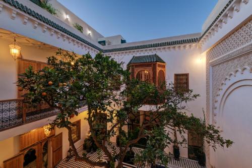 Riad Botanica 3