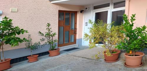 FeWo im Grunen - Gemutliches 2-Zimmer Apartment - Region Frankfurt in Bruchkobel
