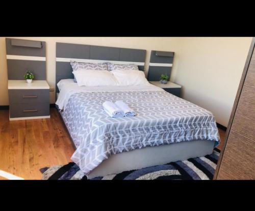 Luxury Apartment Suite