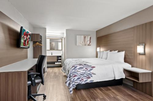 Econo Lodge Sanford NC - image 2