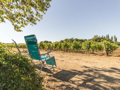 Gîte calme sur domaine viticole, cheminée, wifi, équipements bébé, proche Nantes - FR-1-306-794 (Gite calme sur domaine viticole, cheminee, wifi, equipements bebe, proche Nantes - FR-1-306-794) in Le Landreau