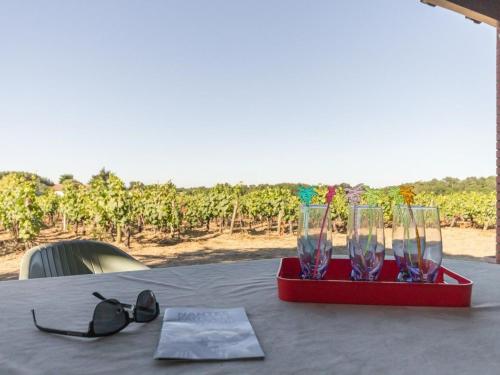 Gîte calme sur domaine viticole, cheminée, wifi, équipements bébé, proche Nantes - FR-1-306-794 (Gite calme sur domaine viticole, cheminee, wifi, equipements bebe, proche Nantes - FR-1-306-794) in Le Landreau