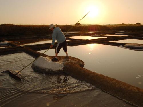 Gîte La Chapelle-des-Marais 3 pièces 6 personnes - FR-1-306-863 - image 5