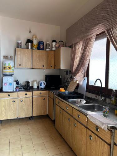 Frida Hostel in เอนคาร์นาซิยอน