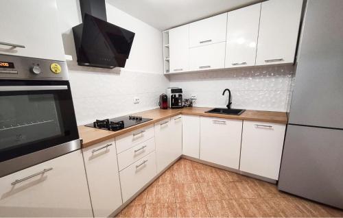 virtuve, Pet Friendly Home In Krizisce in Mali Dol