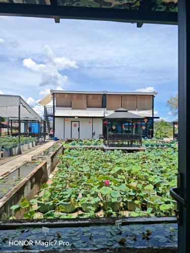 deLotus Villa in Simpang