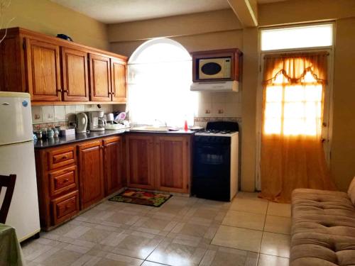Candy's Palace Apartments -Dominica's Best Hilltop Haven in Portsmouth