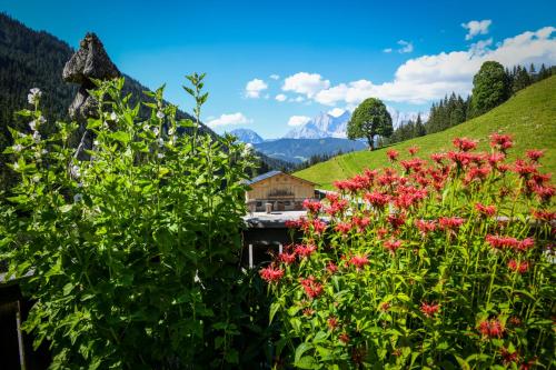Strickhof, Schladming (fotografie 3)