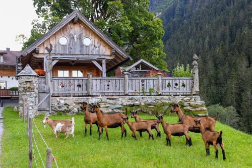 Strickhof, Schladming (fotografie 6)