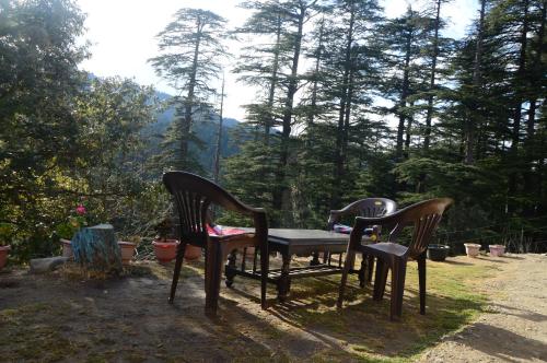 花園, GReen valley Homestay  in 卡亞爾