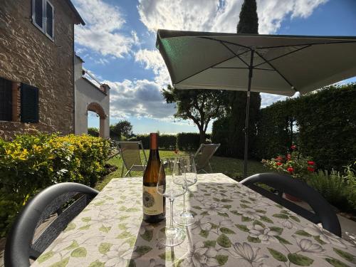 Podere Morena with sea view, private garden, by ToscanaTour Luca in Guardistallo