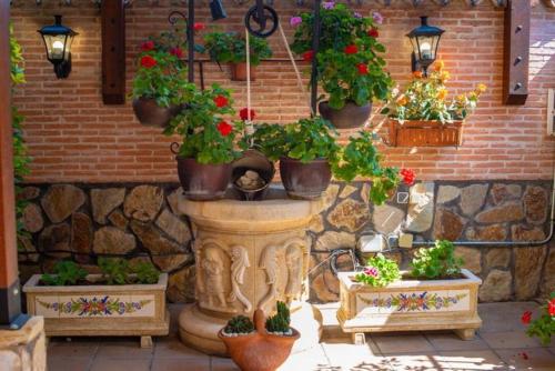 Hostal El Cruce - image 4