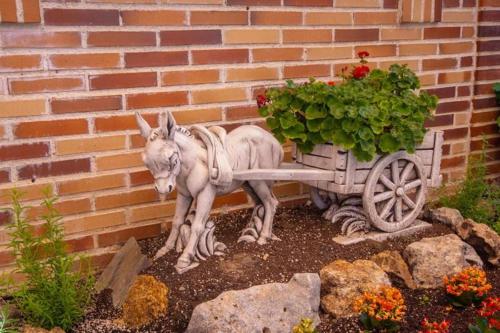 Hostal El Cruce - image 11