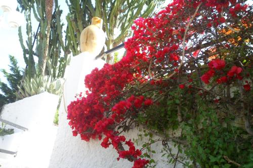 Hotel Park Calitto - image 8