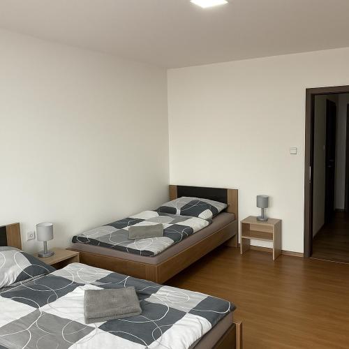 1 queen bed, 1 twin bed, 1 sofa bed