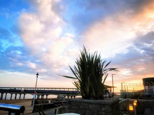 View, Gorgeous Apartment near Bournemouth Beach in Boscombe East