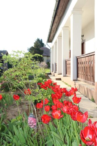 A szálláshely kívülről, Tulipános Pihenőház Abádszalók (Tulipanos Pihenohaz Abadszalok) in Abádszalók