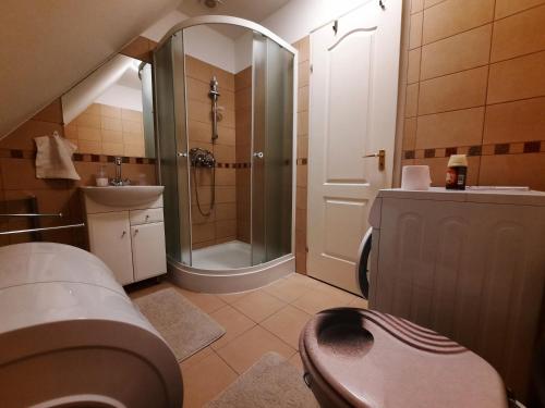 ห้องน้ำ, Somhegy Vendégház (Somhegy Vendeghaz) in มาทรัสเซนทิเมอร์