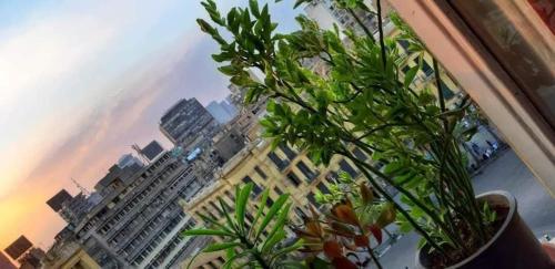 Grand Talat Harb Plaza Hotel - image 2