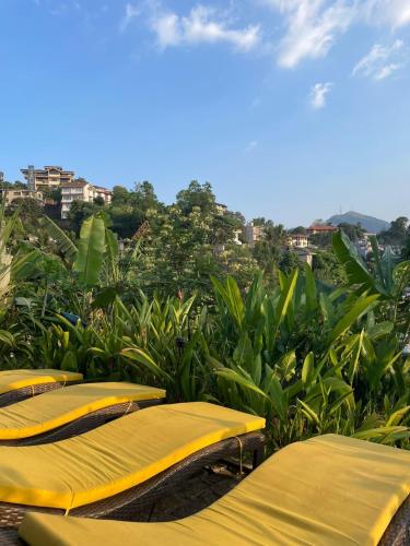 Banana Bunks Kandy in انيواتا