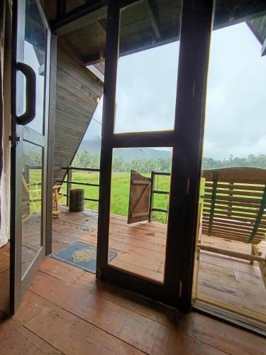 View, The wilds Sinharaja in Kotapola