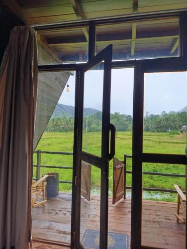 View, The wilds Sinharaja in Kotapola