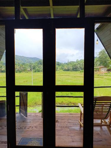 View, The wilds Sinharaja in Kotapola