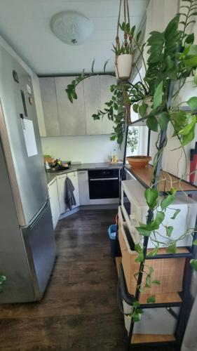 Sikupilli Pallasti Apartment, Tallinn (photo 3)