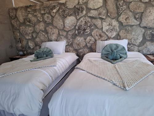 Korabi Lodge & Game Farm in Ghanzi