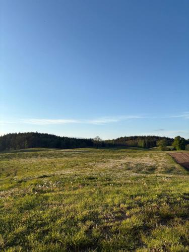 Agroturystyka Żółta Ostoja