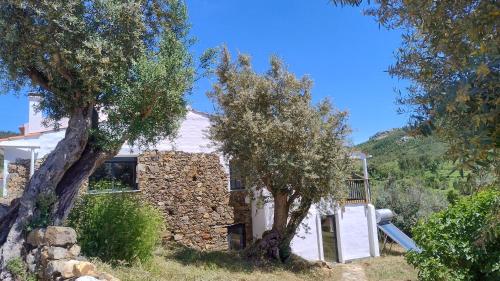 Alegria rustica 2 Rustic happiness BnB Arganil